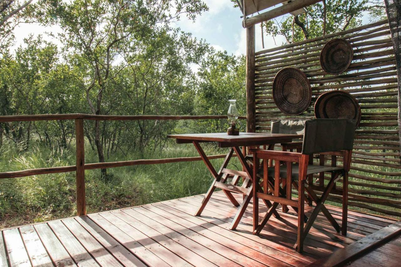 Isambane Camp Balule Game Reserve Exterior foto