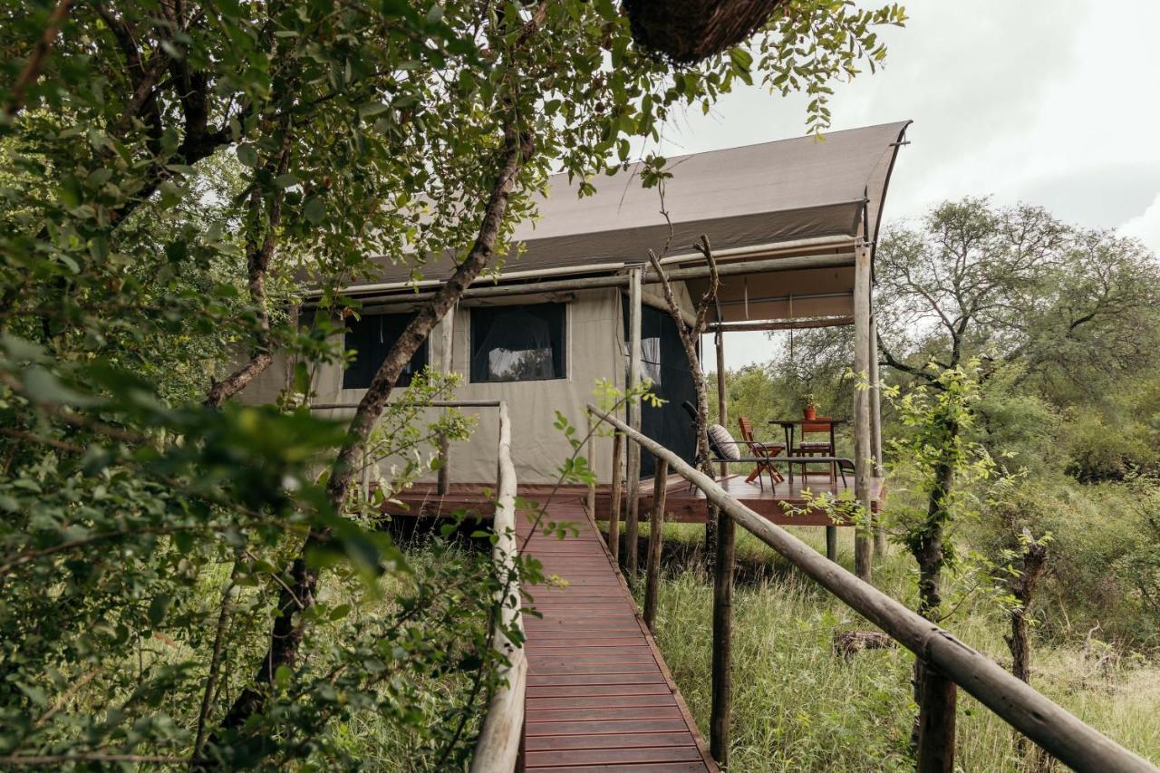 Isambane Camp Balule Game Reserve Exterior foto
