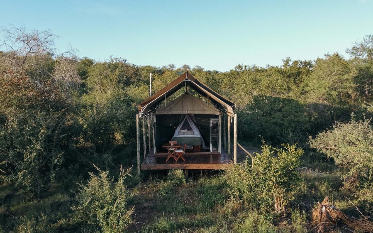 Isambane Camp Balule Game Reserve Exterior foto
