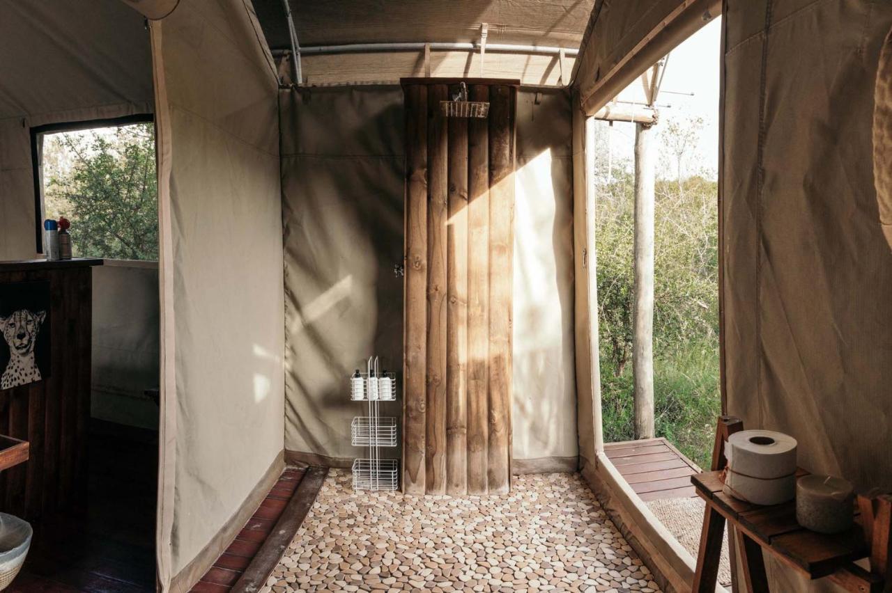 Isambane Camp Balule Game Reserve Exterior foto