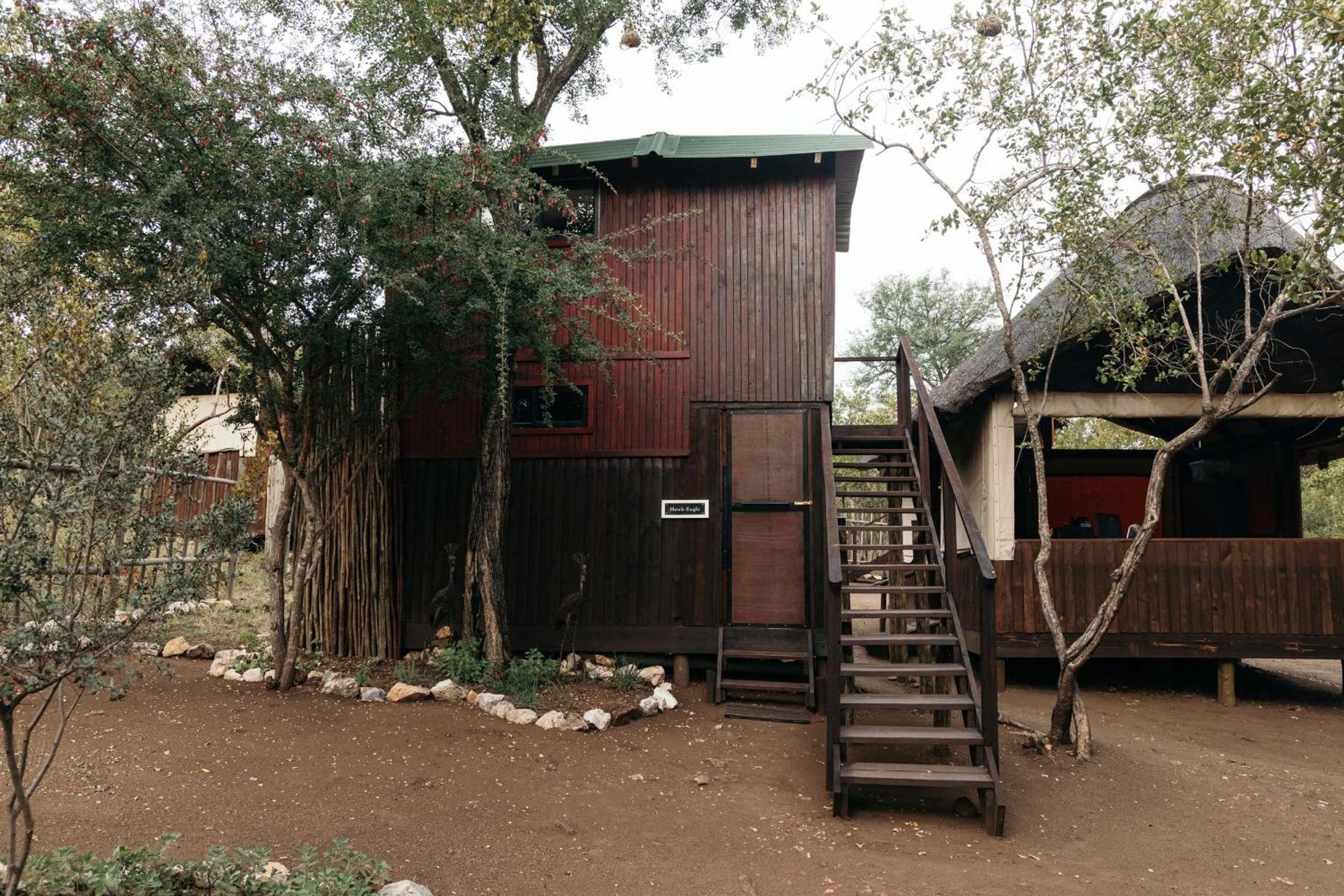 Isambane Camp Balule Game Reserve Exterior foto