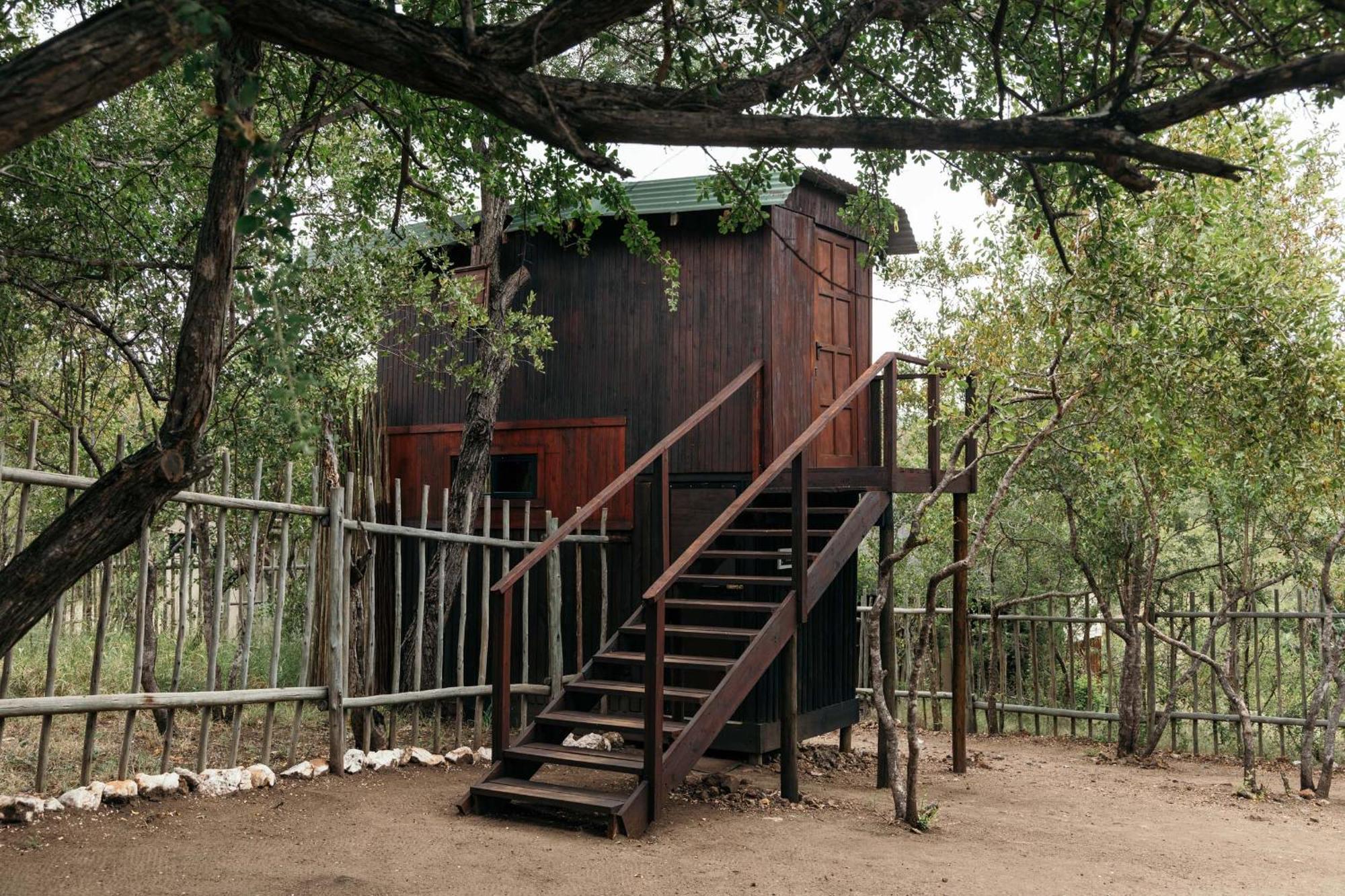 Isambane Camp Balule Game Reserve Exterior foto