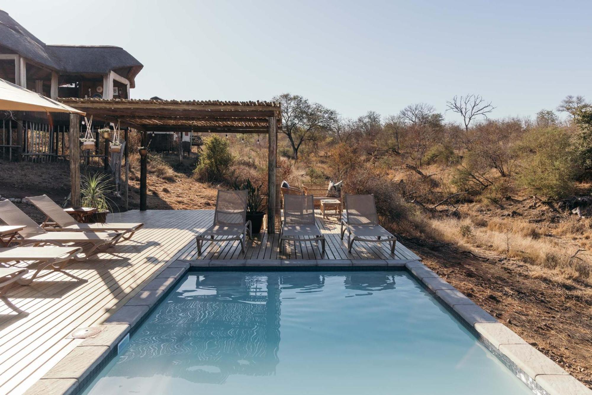 Isambane Camp Balule Game Reserve Exterior foto
