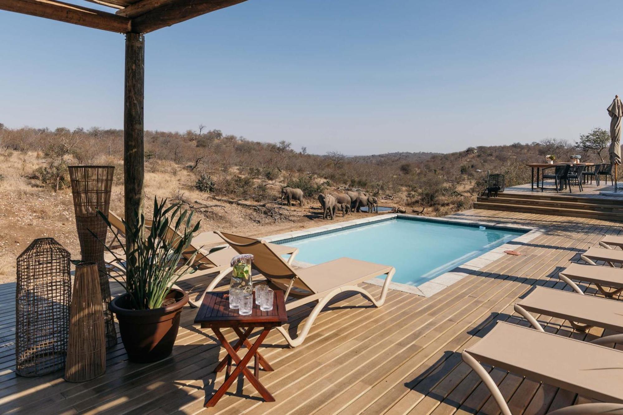 Isambane Camp Balule Game Reserve Exterior foto